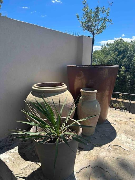 Sous Le « Figuier » Villa Cornillon-Confoux Luaran gambar